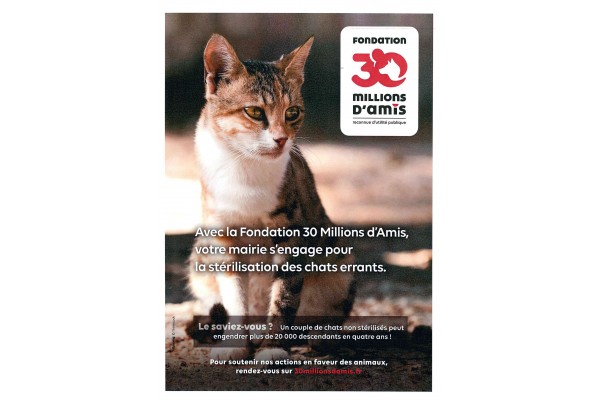 Stérilisation des chats
