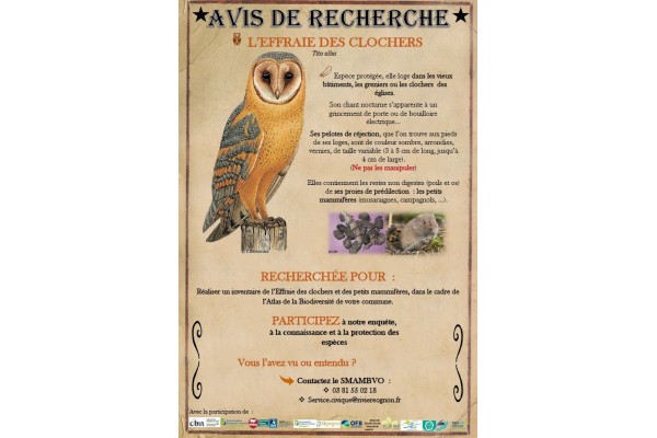 AVIS DE RECHERCHE - L'EFFRAIE DES CLOCHERS
